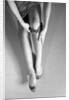 Woman's Hands Putting A Pair Of Sheer Stockings On Her Legs by Anonymous