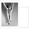 Woman's Hands Putting A Pair Of Sheer Stockings On Her Legs by Anonymous