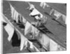 1950s Woman Hanging Laundry Outdoors On Several Clotheslines by Anonymous