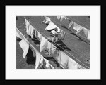 1950s Woman Hanging Laundry Outdoors On Several Clotheslines by Anonymous