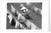 1950s Woman Hanging Laundry Outdoors On Several Clotheslines by Anonymous