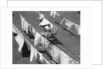 1950s Woman Hanging Laundry Outdoors On Several Clotheslines by Anonymous
