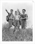 1940s Three Boys Hiking Field by Anonymous