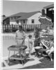 1950s Family In Backyard Beside Pool Having Cookout Of Hot Dogs and Hamburgers by Anonymous