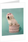 1970s White Shaggy Dog Pink Bow and Pink Tongue by Anonymous