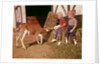 1950s 1960s Children Boy And Girl Feeding Calf Bottle Milk Outside Barn by Anonymous