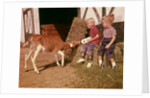 1950s 1960s Children Boy And Girl Feeding Calf Bottle Milk Outside Barn by Anonymous