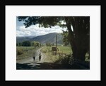 1960s Two Boys Brothers Walking Together Down A Summertime Farm Country Road by Anonymous