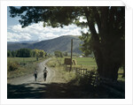 1960s Two Boys Brothers Walking Together Down A Summertime Farm Country Road by Anonymous