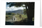 1960s Two Boys Brothers Walking Together Down A Summertime Farm Country Road by Anonymous