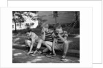 1970s Three Bored Boys Sitting On Curb All Wearing Striped Tee Shirts Shorts And Sneakers by Anonymous
