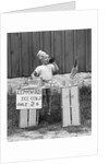 1930s 1940s Boy At Lemonade Stand Shouting Into Megaphone by Anonymous