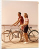 1950s 1960s Teen Couple Standing By Bikes On Beach Boardwalk by Anonymous