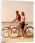 1950s 1960s Teen Couple Standing By Bikes On Beach Boardwalk by Anonymous