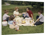 1960s Family Mother Father Daughter And Two Sons Picnicking In Park Outdoor by Anonymous