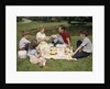 1960s Family Mother Father Daughter And Two Sons Picnicking In Park Outdoor by Anonymous