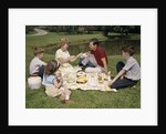 1960s Family Mother Father Daughter And Two Sons Picnicking In Park Outdoor by Anonymous