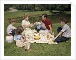 1960s Family Mother Father Daughter And Two Sons Picnicking In Park Outdoor by Anonymous