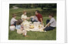 1960s Family Mother Father Daughter And Two Sons Picnicking In Park Outdoor by Anonymous