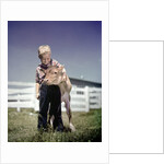 1940s 1950s Little Boy Hugging Pet Calf by Anonymous