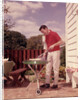 1960s Man Wearing Red Shirt Cooking Steak Outdoor On Backyard Grill by Anonymous