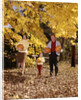 1960s Family Trio Father Mother Daughter Walking In Autumn Woods Carrying Pumpkins by Anonymous