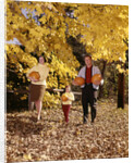 1960s Family Trio Father Mother Daughter Walking In Autumn Woods Carrying Pumpkins by Anonymous