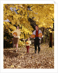 1960s Family Trio Father Mother Daughter Walking In Autumn Woods Carrying Pumpkins by Anonymous
