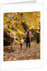 1960s Family Trio Father Mother Daughter Walking In Autumn Woods Carrying Pumpkins by Anonymous