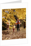 1960s Family Trio Father Mother Daughter Walking In Autumn Woods Carrying Pumpkins by Anonymous
