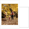 1960s Family Trio Father Mother Daughter Walking In Autumn Woods Carrying Pumpkins by Anonymous