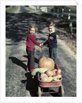 1950s Kids In Blue Jeans Pulling Red Wagon Full Of Pumpkins by Anonymous