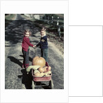 1950s Kids In Blue Jeans Pulling Red Wagon Full Of Pumpkins by Anonymous