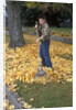 1970s 1980s Teenage Boy Raking Autumn Leaves by Anonymous