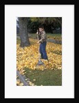 1970s 1980s Teenage Boy Raking Autumn Leaves by Anonymous
