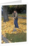 1970s 1980s Teenage Boy Raking Autumn Leaves by Anonymous