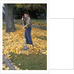 1970s 1980s Teenage Boy Raking Autumn Leaves by Anonymous