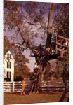 1960s 6 Children Playing In And Climbing Ladder Into Tree House In Suburban Backyard by Anonymous