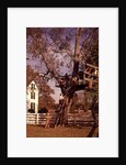 1960s 6 Children Playing In And Climbing Ladder Into Tree House In Suburban Backyard by Anonymous