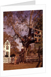 1960s 6 Children Playing In And Climbing Ladder Into Tree House In Suburban Backyard by Anonymous