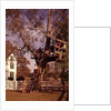 1960s 6 Children Playing In And Climbing Ladder Into Tree House In Suburban Backyard by Anonymous