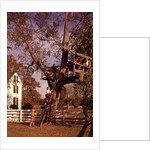 1960s 6 Children Playing In And Climbing Ladder Into Tree House In Suburban Backyard by Anonymous
