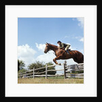 1970s Woman Equestrian Rider Jumping Over Split Rail Fence During Steeplechase Horse Race by Anonymous