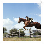 1970s Woman Equestrian Rider Jumping Over Split Rail Fence During Steeplechase Horse Race by Anonymous
