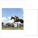 1970s Woman Equestrian Rider Jumping Over Split Rail Fence During Steeplechase Horse Race by Anonymous