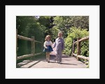 1960s Little Boy And Girl Holding Hands And Walking Across Wooden Footbridge by Anonymous