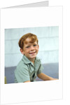 1970s Portrait Of Boy With Red Hair And Freckles by Anonymous