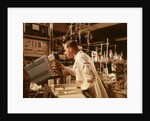 1960s Scientist Lab Technician Looking Into Oscilloscope In Laboratory by Anonymous
