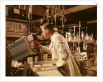 1960s Scientist Lab Technician Looking Into Oscilloscope In Laboratory by Anonymous