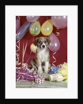 1960s Puppy Dog Balloons Party And Colorful Streamers by Anonymous